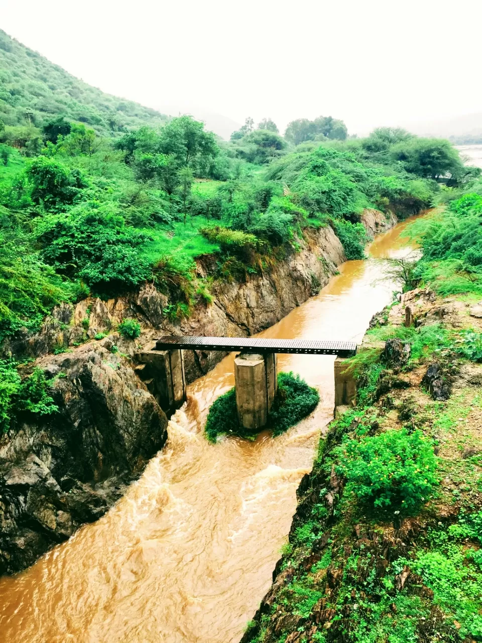 Photo of Udaipur : RAIN-RAIN COME AGAIN#monsoonspots by Gunjan