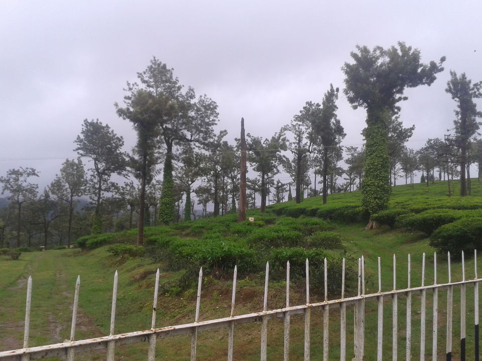 Photo of Solo Ride: For the Love of Riding 12/15 by Piyush Aggarwal