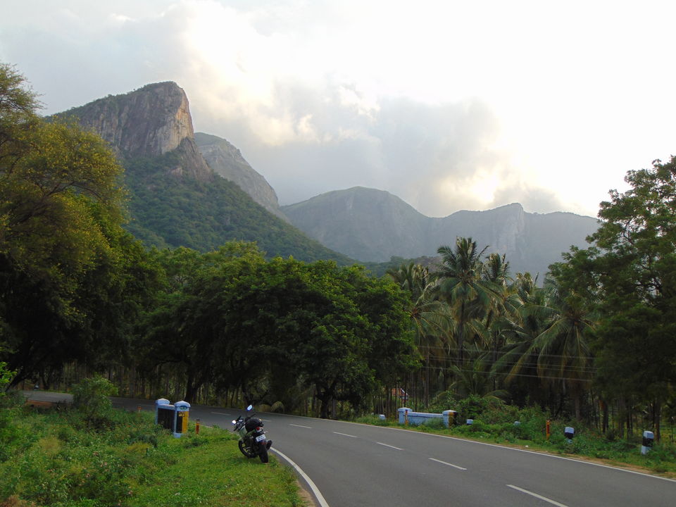 Photo of Munnar, Monsoon & Bike - Awesome Threesome 1/38 by Piyush Aggarwal