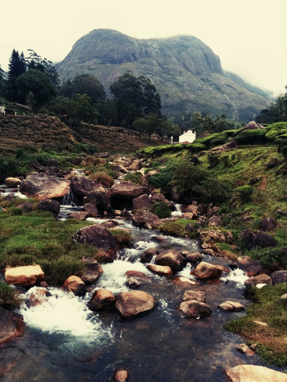 Photo of Munnar, Monsoon & Bike - Awesome Threesome 26/38 by Piyush Aggarwal