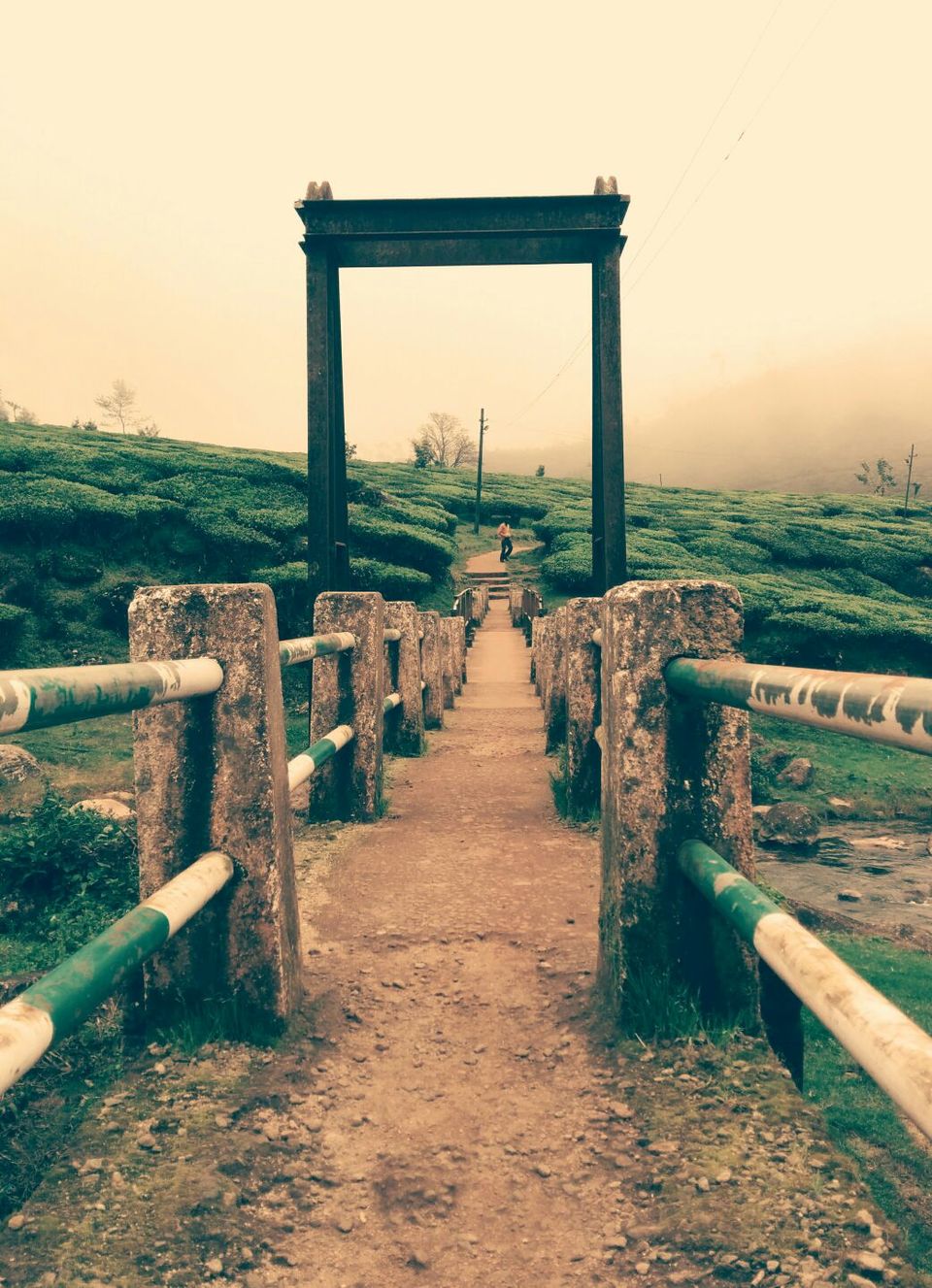 Photo of Munnar, Monsoon & Bike - Awesome Threesome 27/38 by Piyush Aggarwal