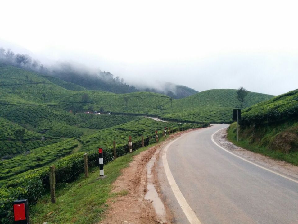 Photo of Munnar, Monsoon & Bike - Awesome Threesome 34/38 by Piyush Aggarwal