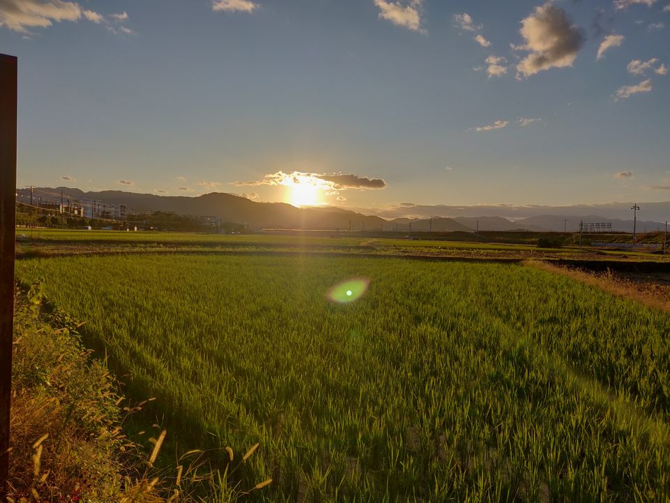 Photo of Kyoto Japan - Mind Body Soul Rejuvenation by Swati Khandelwal