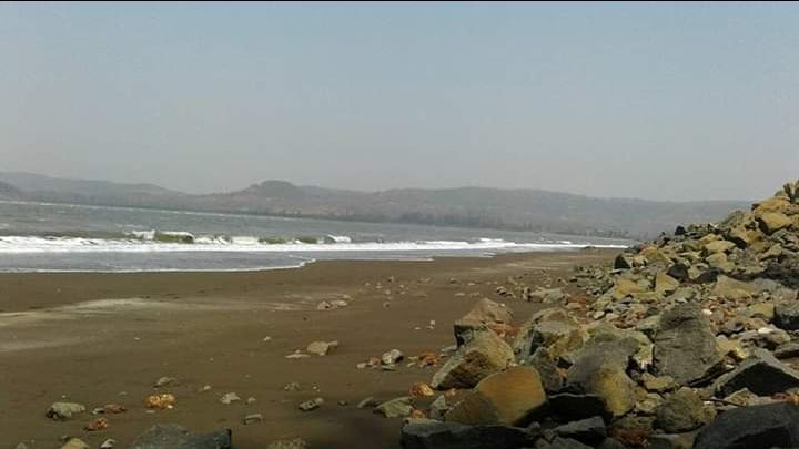 Photo of Velas, Maharashtra, India by Diya Tilara