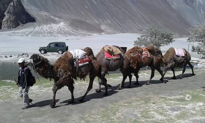 Photo of Nubra Valley, Hunder by Diya Tilara