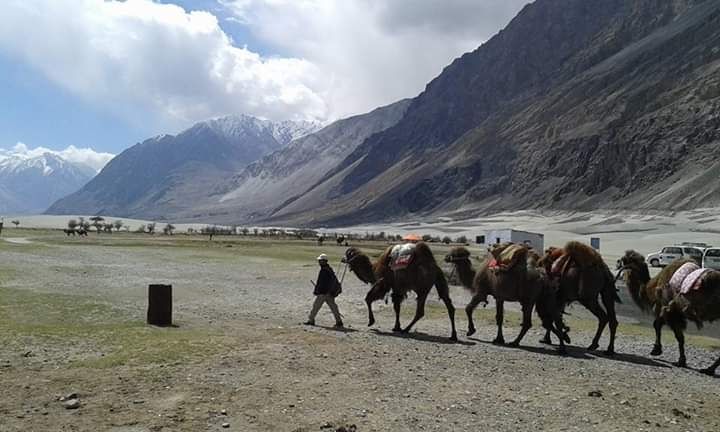 Photo of Khardungla Pass, Khardung La Road, Leh by Diya Tilara
