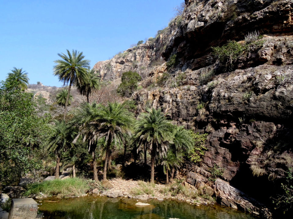 Photo of Ranthambore Fort, Ranthambore Fort Road, Qila Ranthambor, Rajasthan, India by Rudraksha Chodankar
