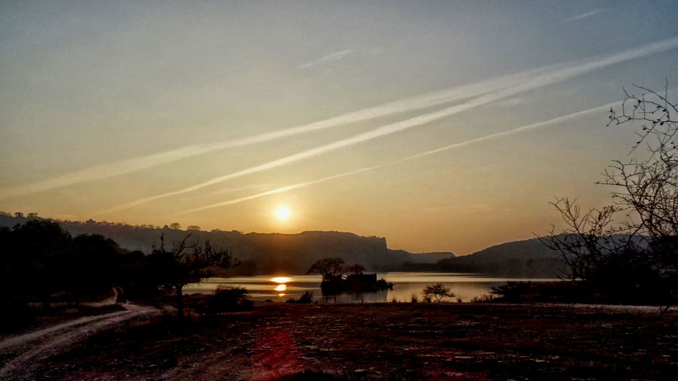 Photo of Ranthambore National Park, Prempura, Rajasthan, India by Rudraksha Chodankar