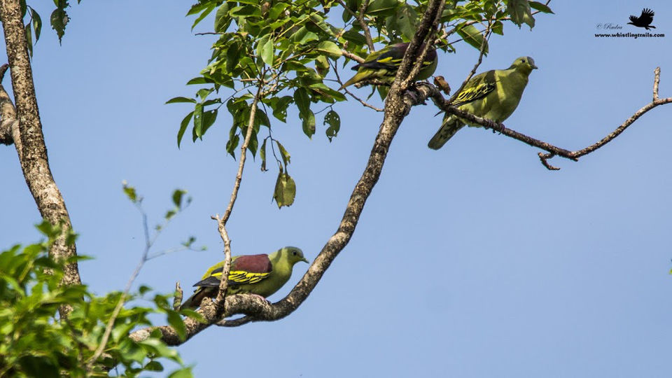 Photo of Weekend Trip to Chiplun 14/31 by Rudraksha Chodankar