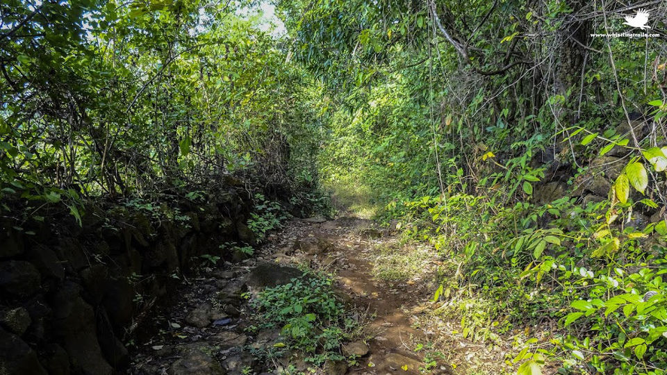 Photo of Weekend Trip to Chiplun 15/31 by Rudraksha Chodankar