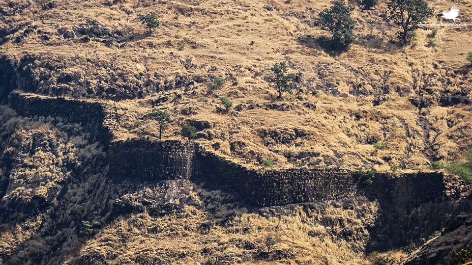 Photo of Trek to the Raigad Fort 9/12 by Rudraksha Chodankar