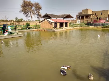 Photo of SURAJGARH FARMS, Golf Course Ext Rd, Sector 59, Gurugram, Haryana, India by Manisha Jain