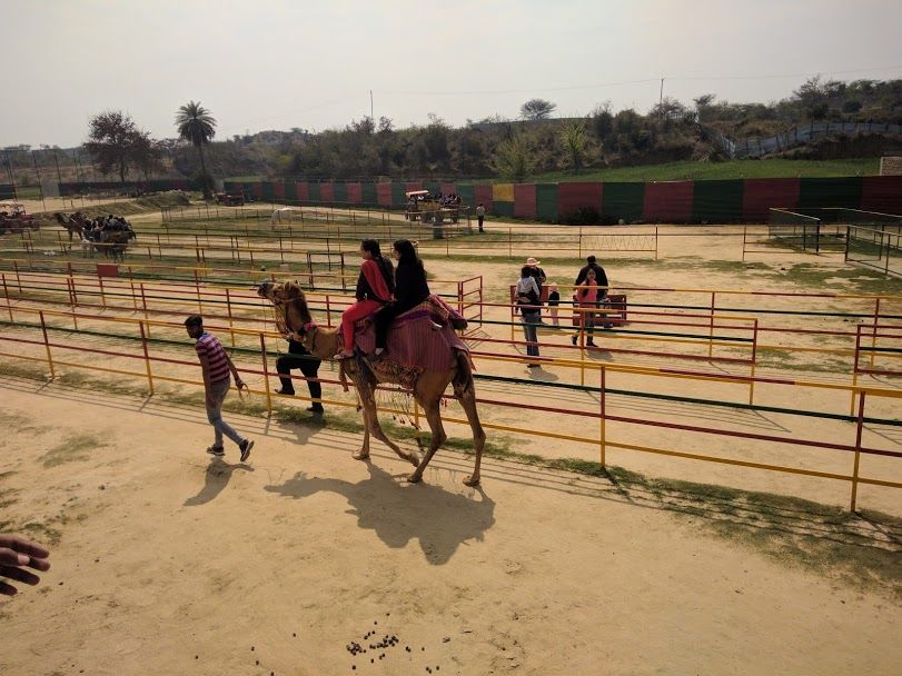Photo of SURAJGARH FARMS, Golf Course Ext Rd, Sector 59, Gurugram, Haryana, India by Manisha Jain