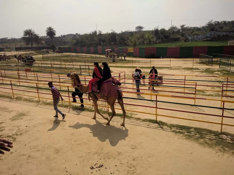 Photo of SURAJGARH FARMS, Golf Course Ext Rd, Sector 59, Gurugram, Haryana, India by Manisha Jain