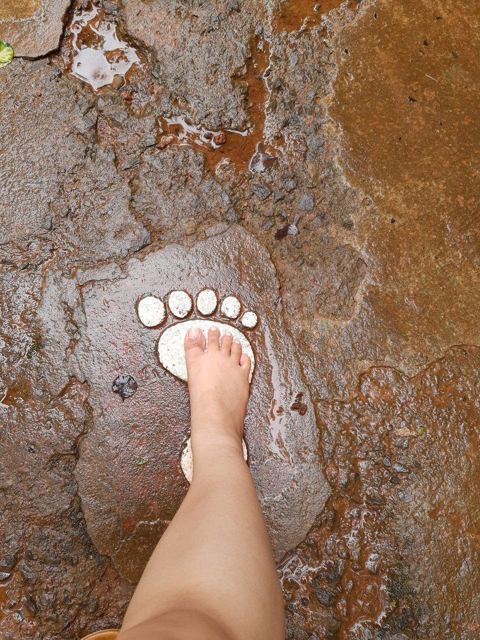 Photo of Ancestral Goa - Big Foot, Goa 13/37 by Manisha Jain