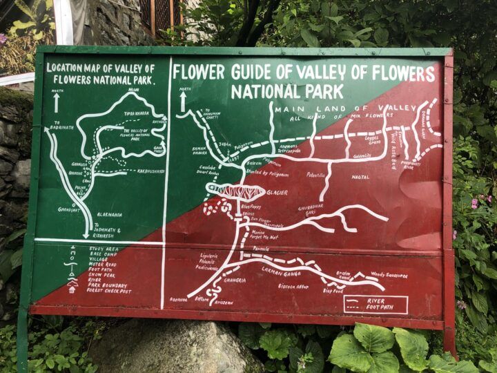 Photo of Valley of Flowers National Park by Nilanjan Roy
