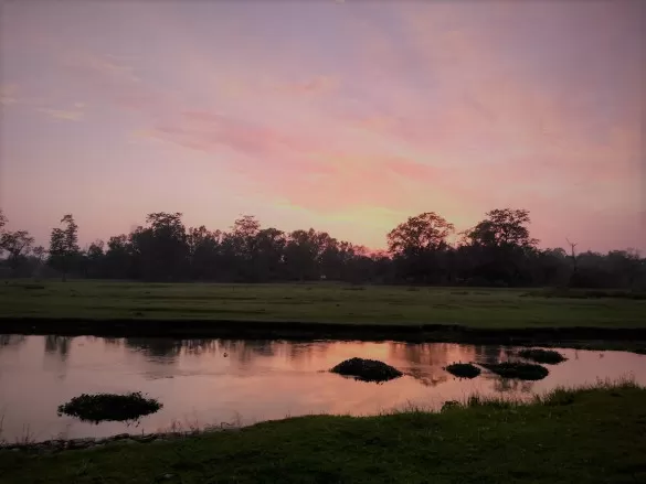 Photo of Exploring wilderness of Terai at Chitwan National Park, Nepal by The Urban Nomad