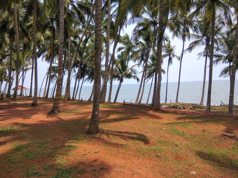 Photo of Kannur, happy vacation in surprise package ! 1/3 by The Urban Nomad