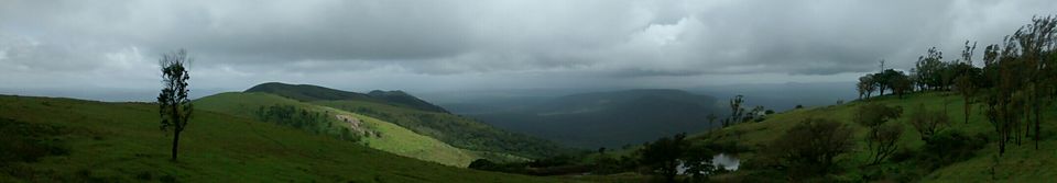 Photo of 50 shades of Green at Bandipur Tiger Reserve 20/20 by The Urban Nomad