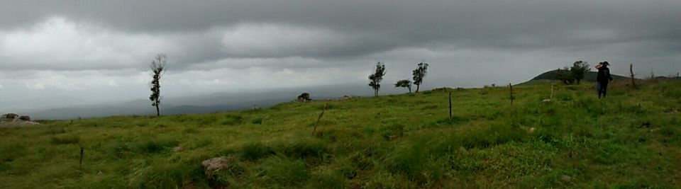 Photo of 50 shades of Green at Bandipur Tiger Reserve 18/20 by The Urban Nomad