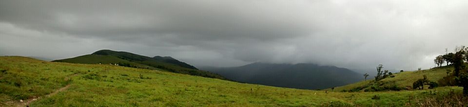 Photo of 50 shades of Green at Bandipur Tiger Reserve 19/20 by The Urban Nomad