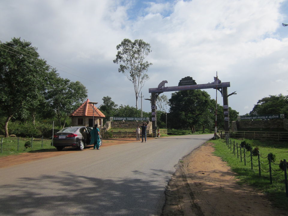 Photo of 50 shades of Green at Bandipur Tiger Reserve 2/20 by The Urban Nomad