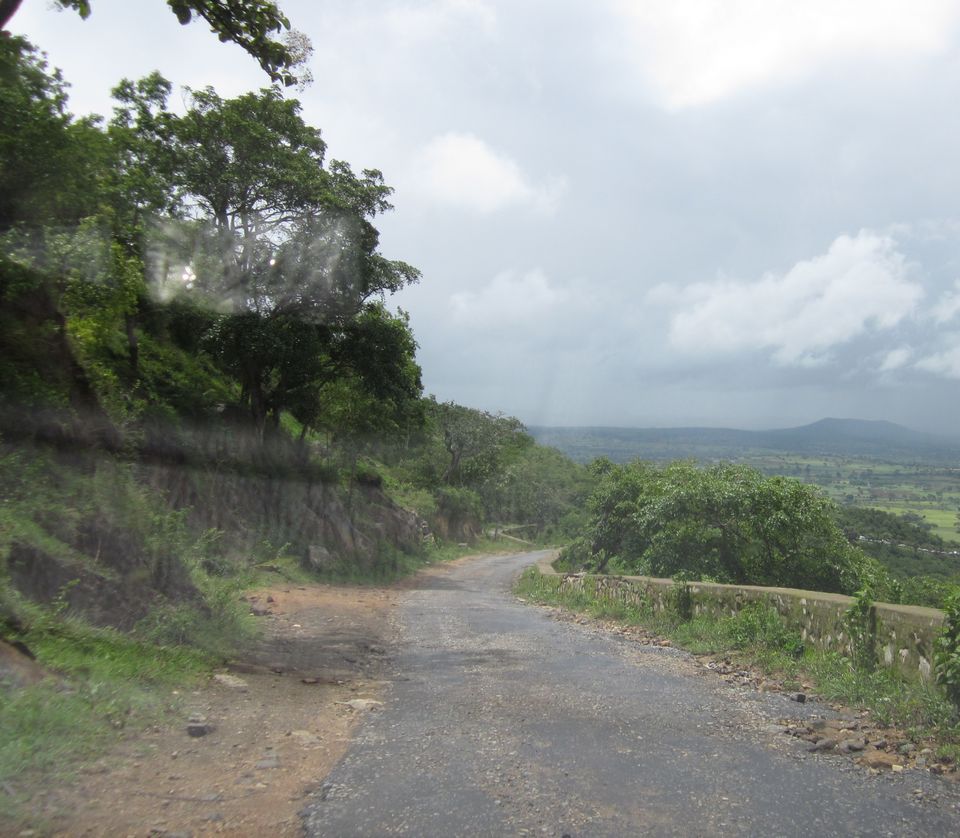 Photo of 50 shades of Green at Bandipur Tiger Reserve 5/20 by The Urban Nomad