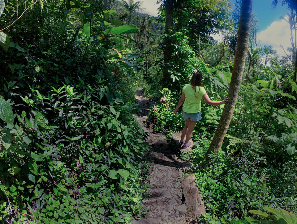 Photo of 4 Days In Puerto Rico by Anhad Bajaj