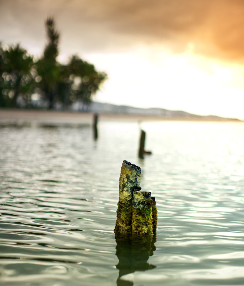 Photo of 4 Days In Puerto Rico by Anhad Bajaj
