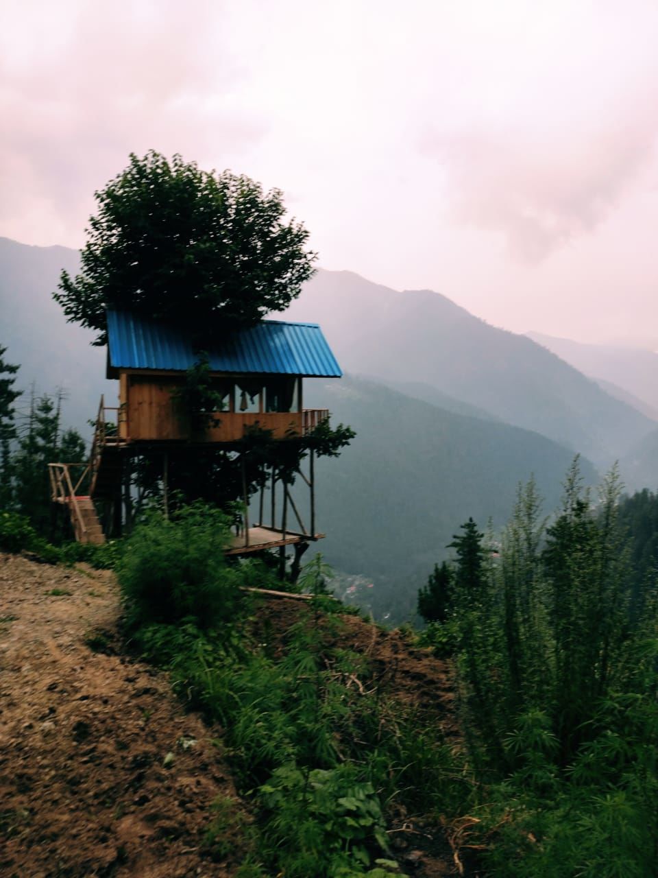 Photo of Jibhi, Himachal Pradesh, India by Yashi Srivastava