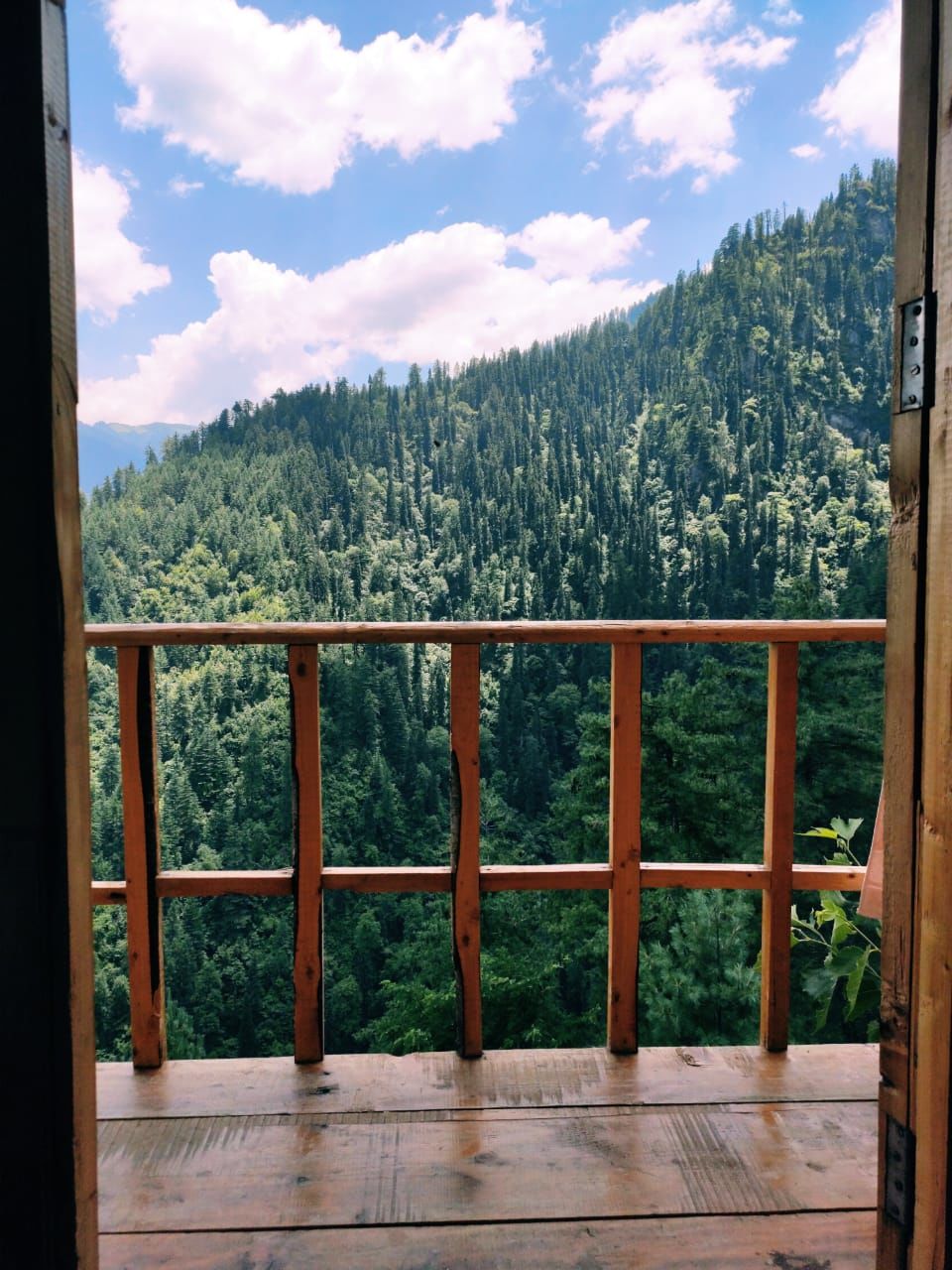 Photo of Jibhi, Himachal Pradesh, India by Yashi Srivastava