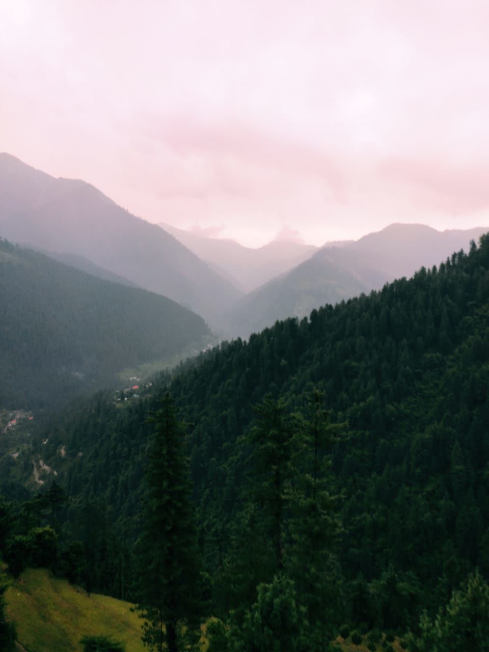 Photo of My Jibhi Adventure - Lived in a Tree House, Lost My Way in the Woods, Slept Near a Brook, and More! by Yashi Srivastava
