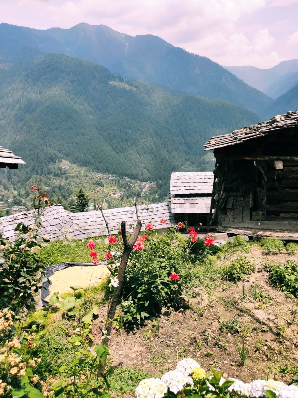 Photo of My Jibhi Adventure - Lived in a Tree House, Lost My Way in the Woods, Slept Near a Brook, and More! by Yashi Srivastava