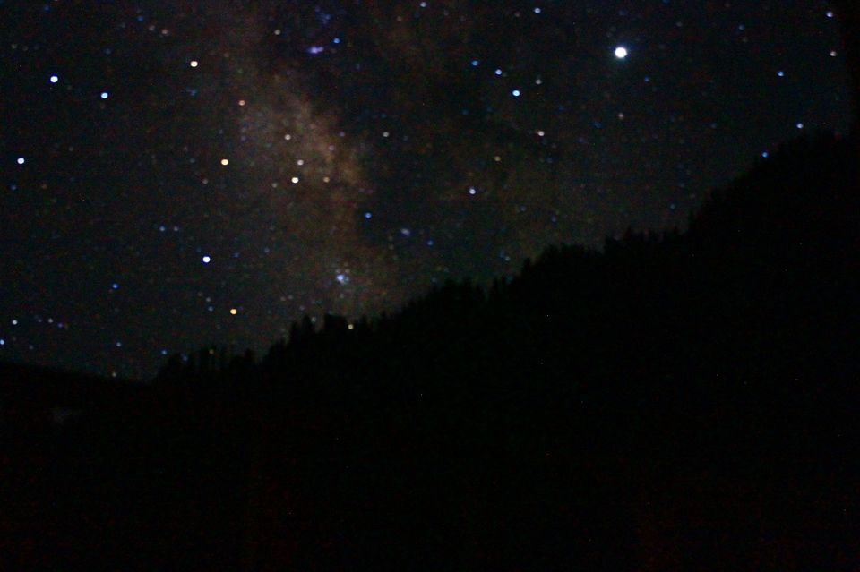 Photo of My Jibhi Adventure - Lived in a Tree House, Lost My Way in the Woods, Slept Near a Brook, and More! by Yashi Srivastava
