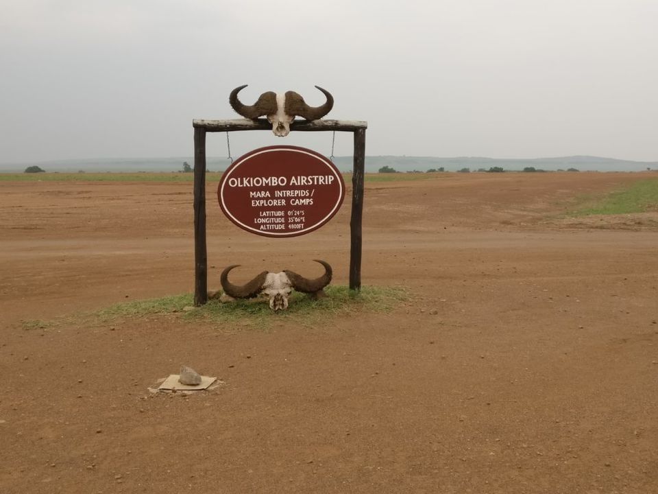 Photo of Masai Mara - The Stunning African Savannah - To travel is to live! 7/16 by BULBUL on the wing