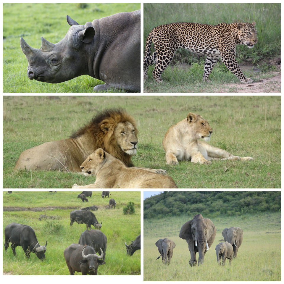 Photo of Masai Mara - The Stunning African Savannah - To travel is to live! by BULBUL on the wing