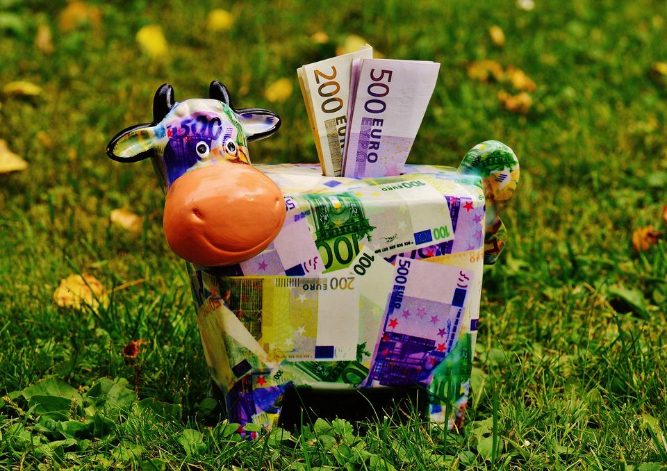 Photo of 17 tips to save money while travelling - To travel is to live! by BULBUL on the wing