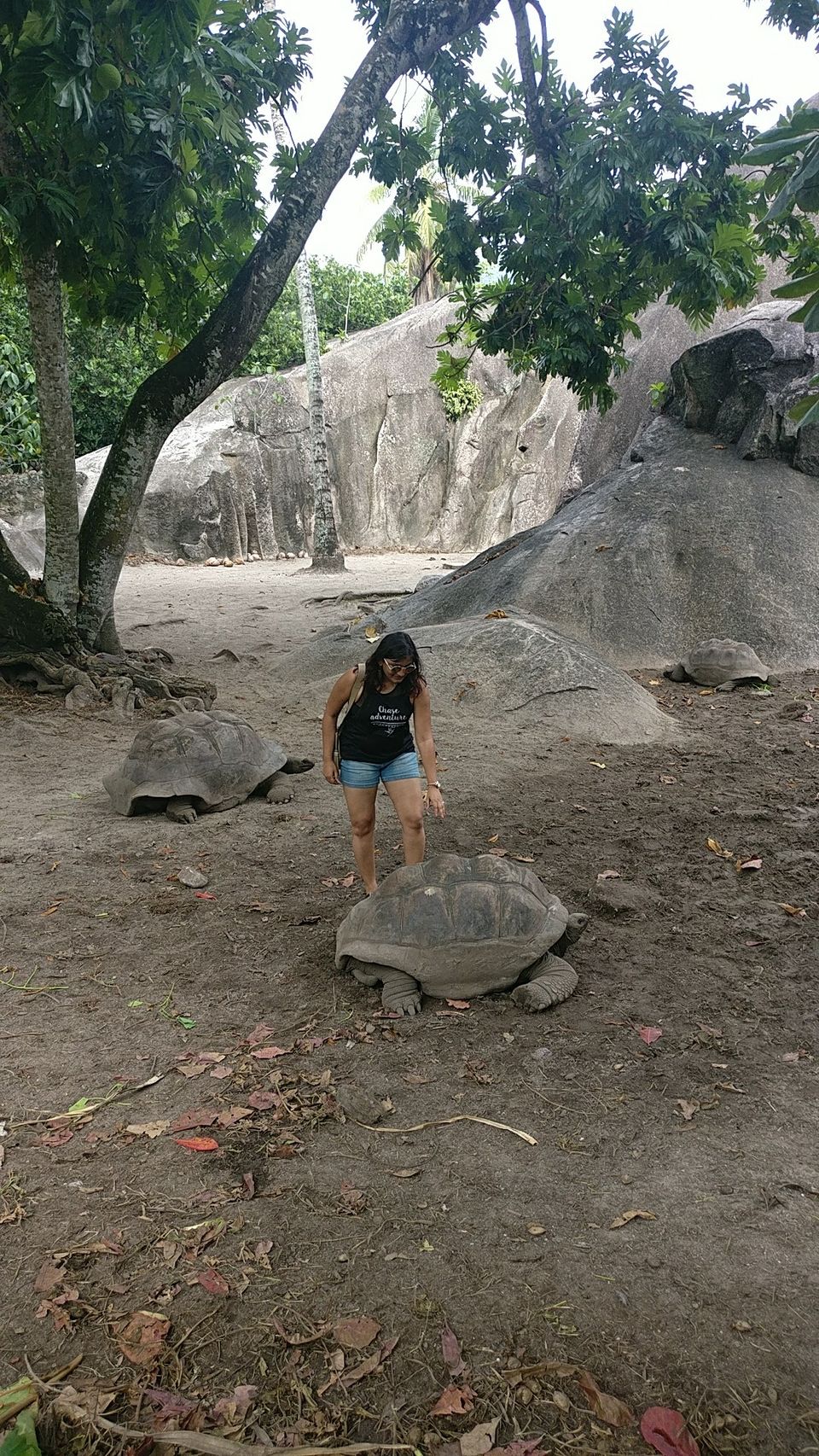 Photo of La Digue - A Dreamy Island That Exists In Real - To travel is to live! 6/17 by BULBUL on the wing