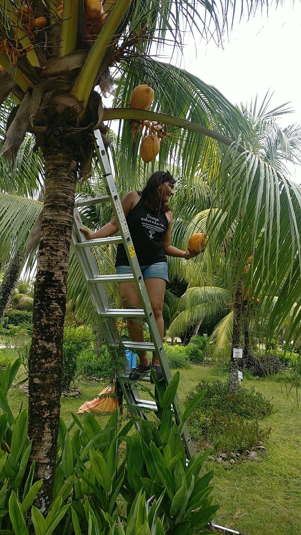 Photo of La Digue - A Dreamy Island That Exists In Real - To travel is to live! 8/17 by BULBUL on the wing