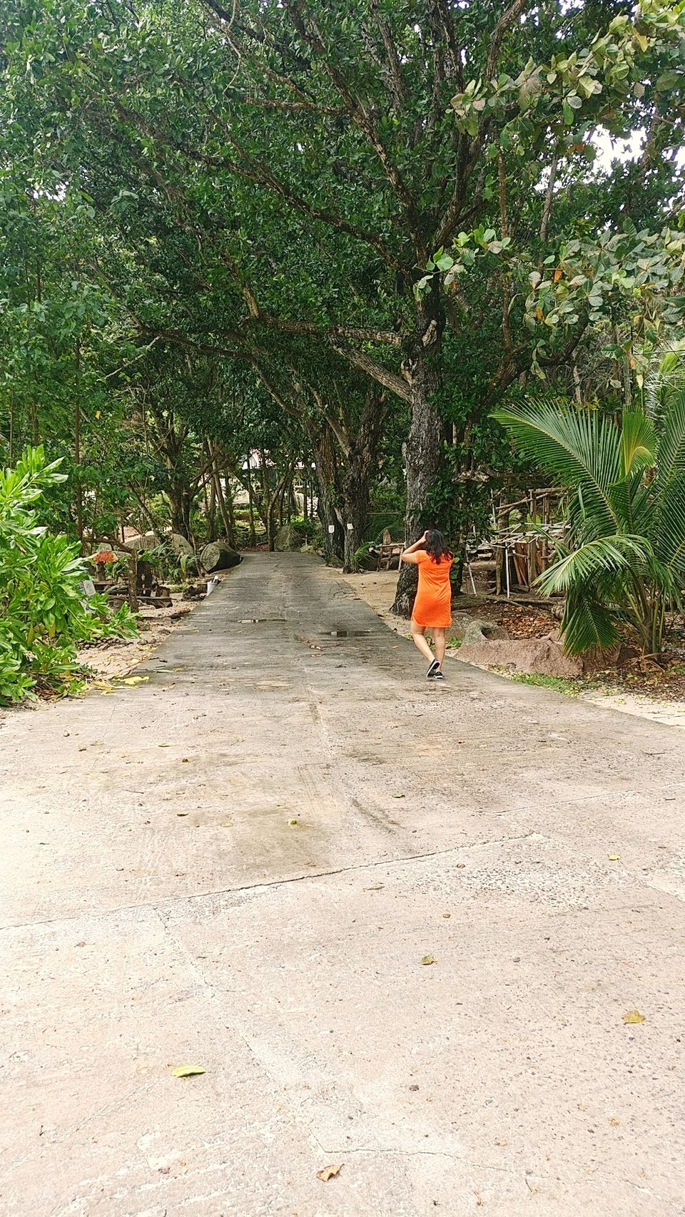 Photo of La Digue - A Dreamy Island That Exists In Real - To travel is to live! 13/17 by BULBUL on the wing