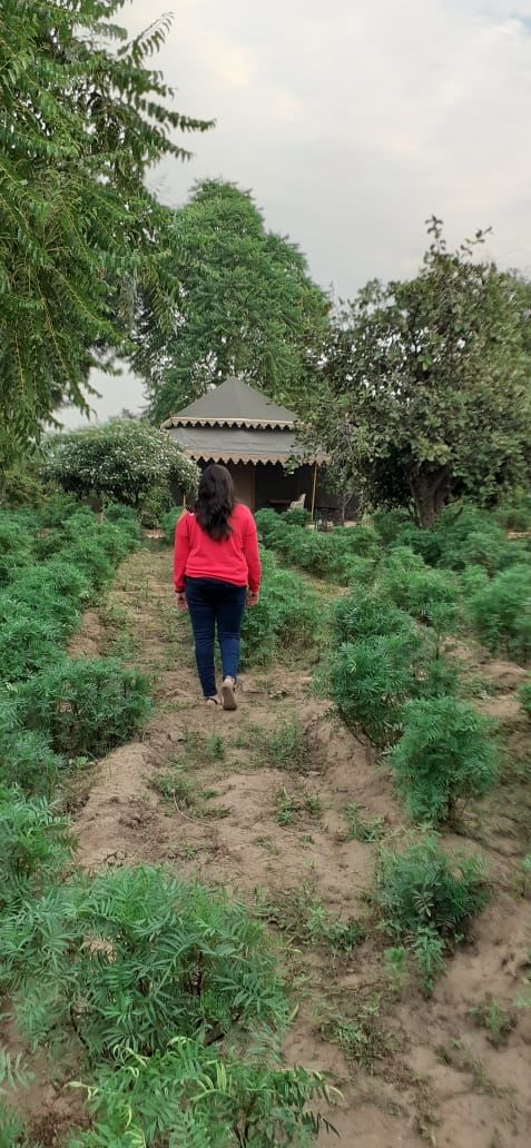 Photo of Orchard Tents and Tranquility - Puskar - To travel is to live! 3/13 by BULBUL on the wing