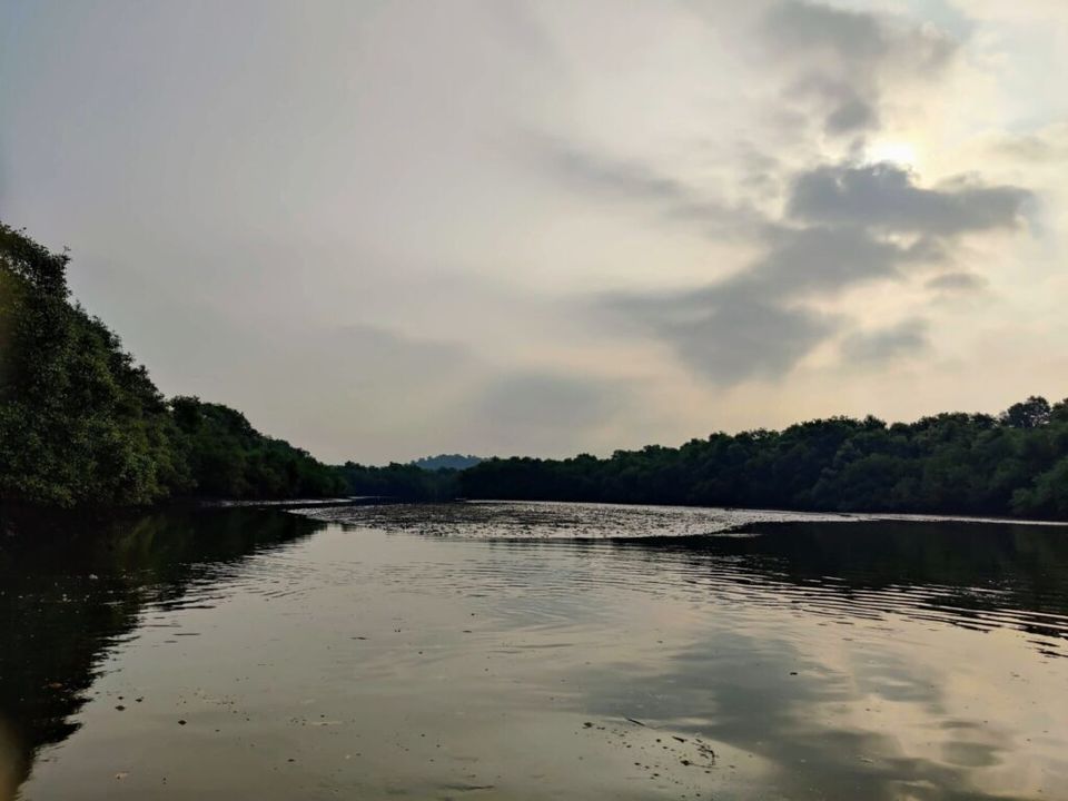 Photo of Chorao Island - A dramatic nature trail in Goa - To travel is to live! 2/13 by BULBUL on the wing