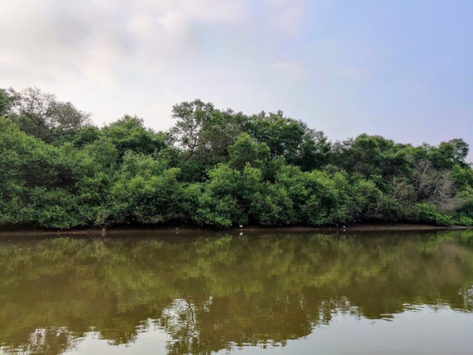 Photo of Chorao Island - A dramatic nature trail in Goa - To travel is to live! 9/13 by BULBUL on the wing