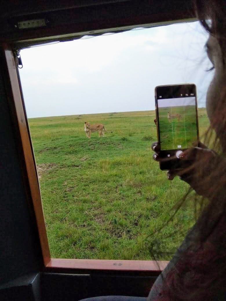 Photo of 8 Misconceptions about Travel Bloggers - To travel is to live! 4/7 by BULBUL on the wing