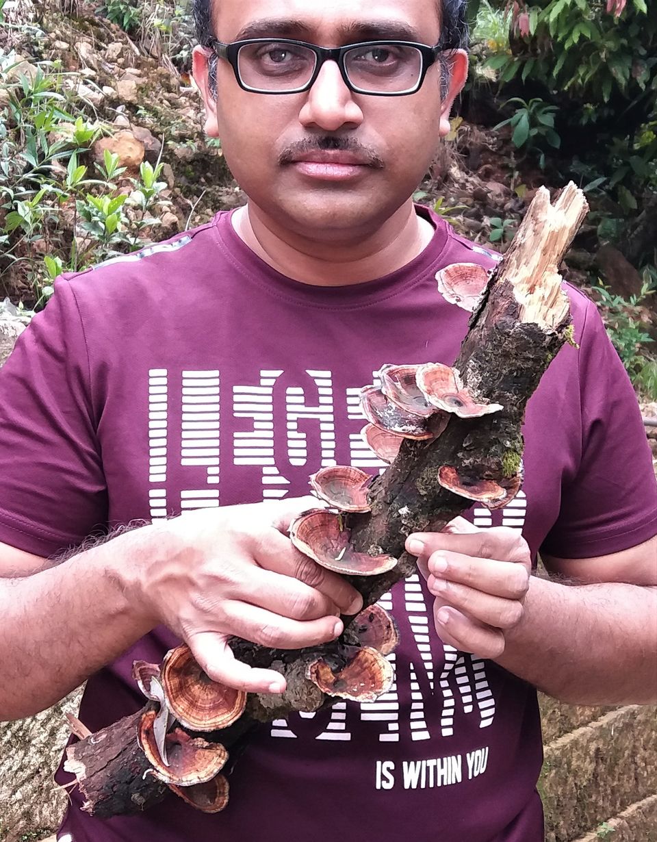 Photo of Majestic Meghalaya 30/114 by anindam aditya