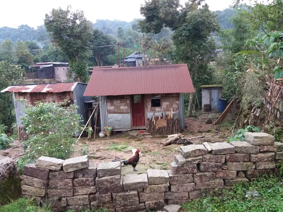 Photo of Majestic Meghalaya 52/114 by anindam aditya