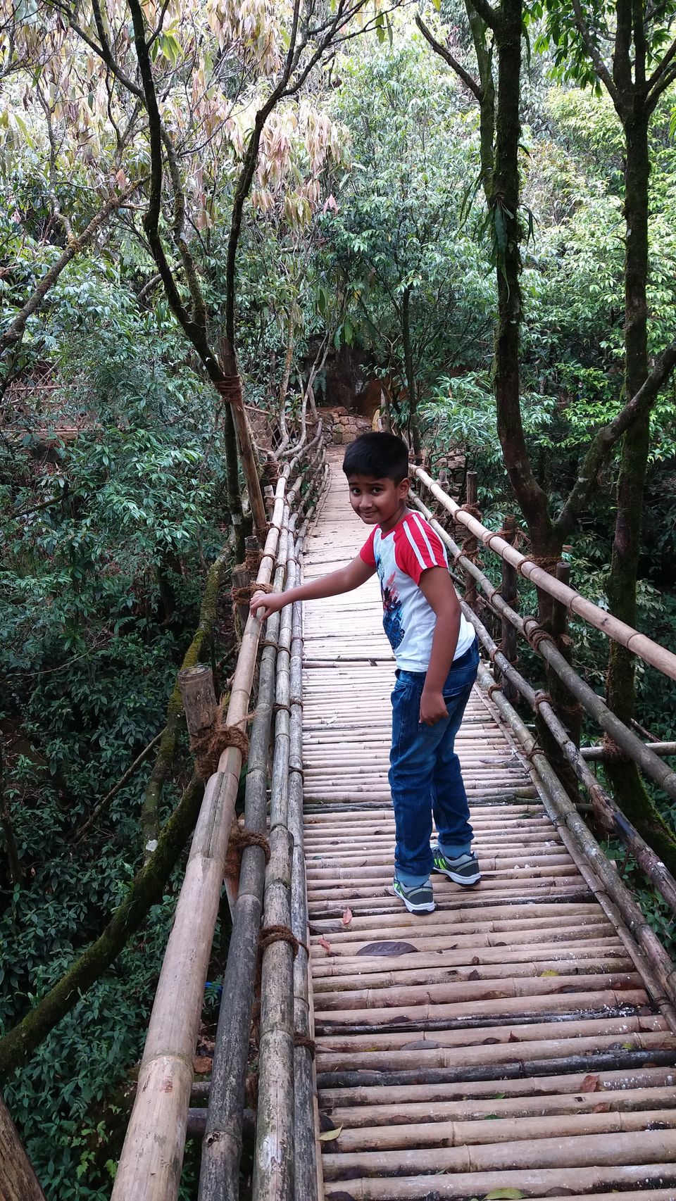 Photo of Majestic Meghalaya 12/114 by anindam aditya