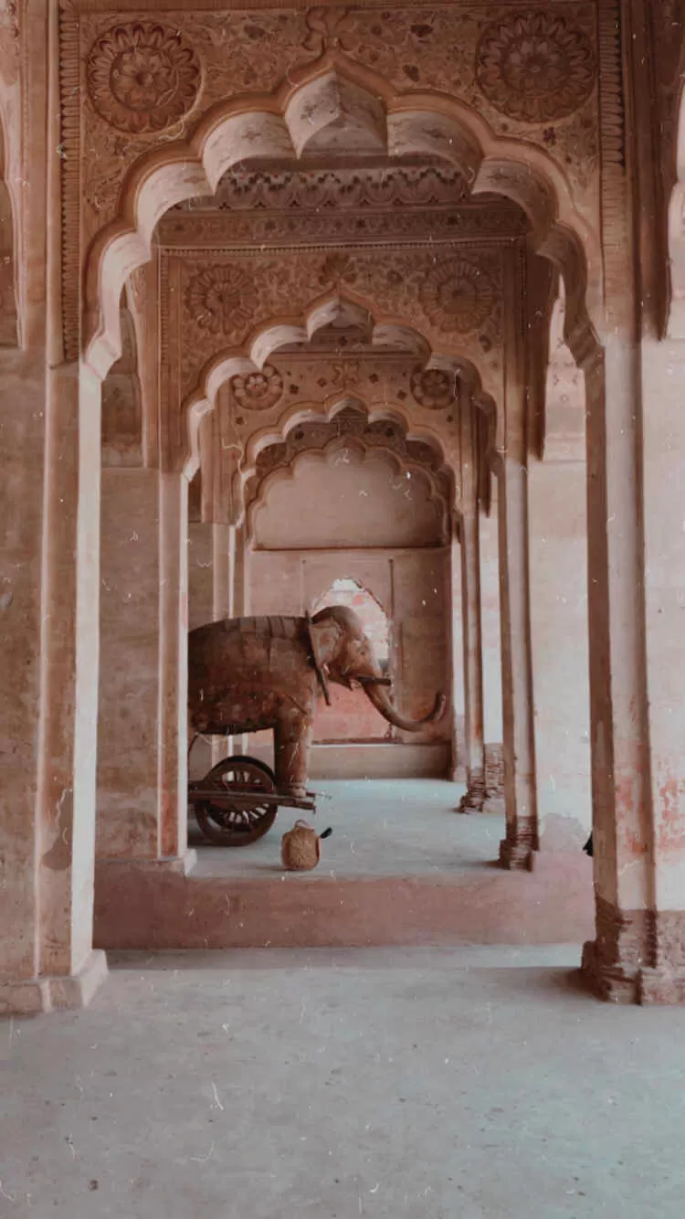 Photo of Beautiful Fort In Rajasthan- Without A Crowd #HiddenGem by HazelTejal