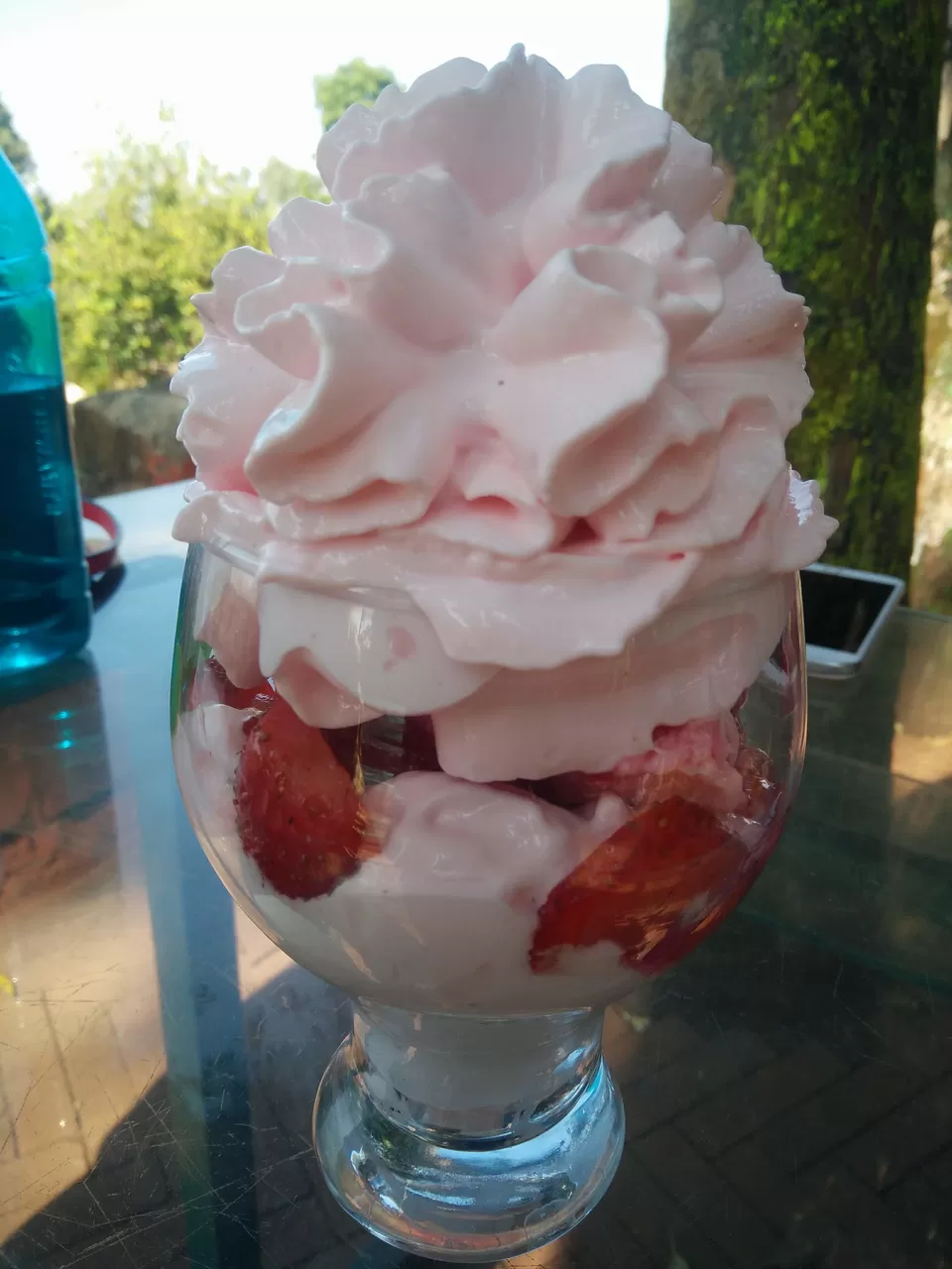 Photo of Mapro Garden, Gureghar, Mahabaleshwar, Maharashtra, India by HazelTejal