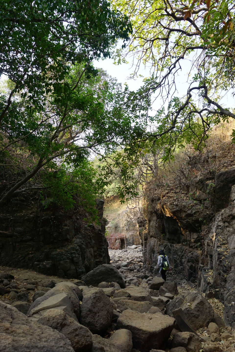 Photo of Sandhan Valley, one of the greatest canyon in Sahyadri Western Ghats #BestofMaharashtra 2/9 by HazelTejal